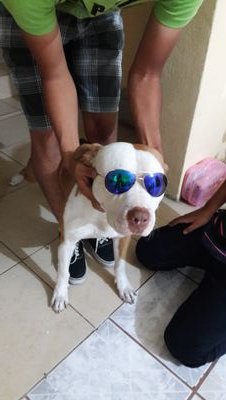 pollo_2562's profile picture. Cuando mas oscuro esta pronto va a amanecer