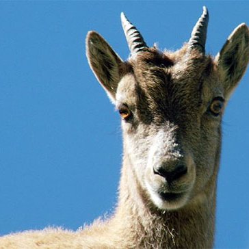 bor_ga_'s profile picture. 