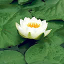 niceprast's profile picture. All of affiliate products.