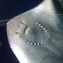 Eva Cain - @c_a_i_n - Twitter