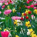 Berta Estrada - @BertaEstrada13 - Twitter