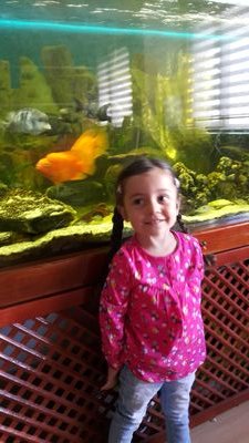 HasanHa60638839's profile picture. Haber Gündem