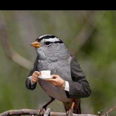 الأخبار العامة