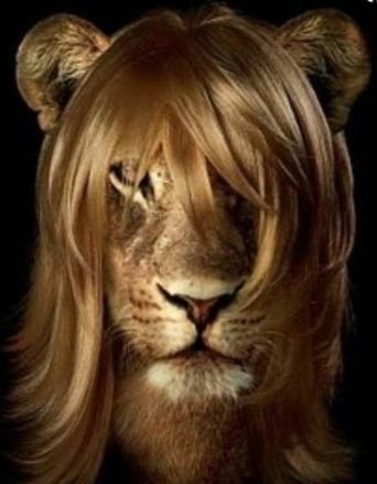 aspartami's profile picture. δε ξέρω που με βρήκαν..
εδώ όμως με άφησαν