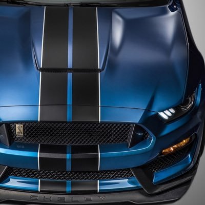 trace_kitzmann's profile picture. gang