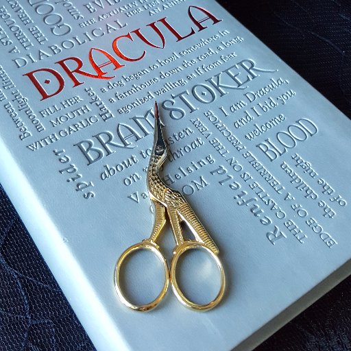 GothicLitStitch's profile picture. Gothic novel quotes in counted cross stitch patterns.