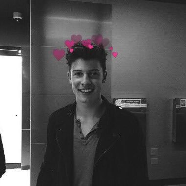 Shawn & Camila follow♡ Jacob Whitesides, Sammy Wilk, Jerome Jarre & Jake Paul also followღ