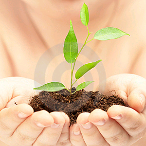 equipeambiental's profile picture. É preciso criar a cultura da preservação