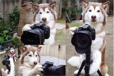 vitamilk2k's profile picture. 