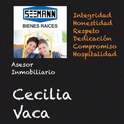 Asesor Inmobiliario en Seemann Bienes Raíces.