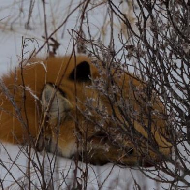 marpe201's profile picture. 