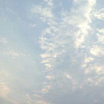 nooor_zh's profile picture. 