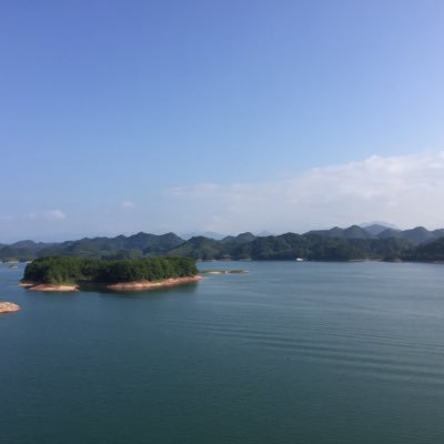 wangliping0915's profile picture. 