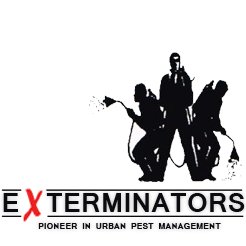 ExtPest's profile picture. 