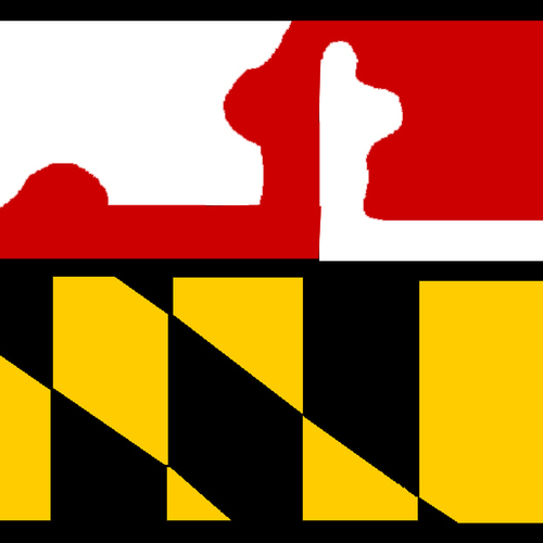 maryland_sae's profile picture. MSAE was established in 1964 to unite association professionals in the State of Maryland. Today, MSAE has a diverse membership sharing the goal of excellence in