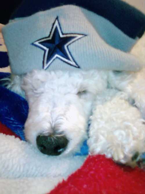 wojo661's profile picture. 