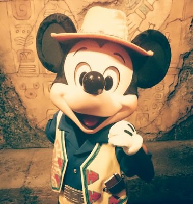 TokyoDisneyReport【ﾈﾀﾊﾞﾚ注意】さんのプロフィール画像