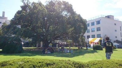 豊田工業大学の大学祭、｢天樹祭｣の公式アカウントです。今年度は無事終了いたしました。お誘い、出演に関するご相談のDM・メールお待ちしてます！ toyota0tenjusai@gmail.com