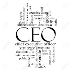 MeetTheCEOs's profile picture. Performance oriented people