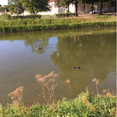 tagt4561's profile picture. 