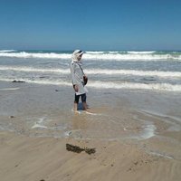 Paradise Nymph (@merlinsriwijaya) 's Twitter Profile
