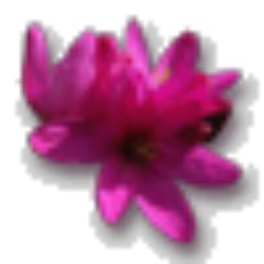 jerbarbsam's profile picture. 