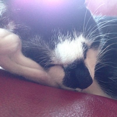 Jaynielicious's profile picture. 