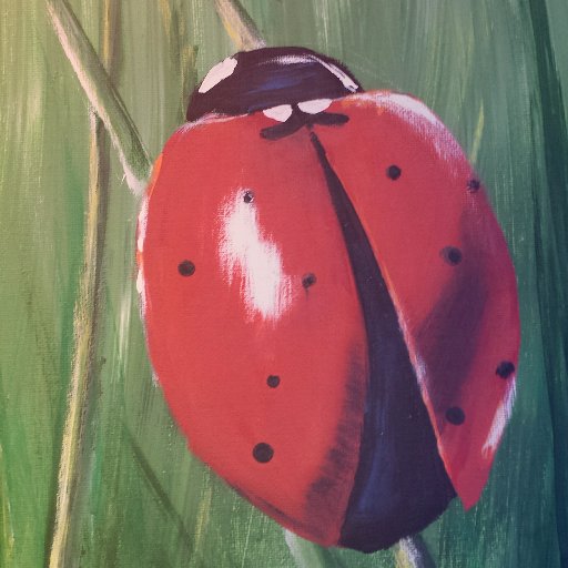 pgmon007's profile picture. 