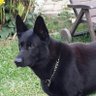 Schmoha's profile picture. Interesse an Politik für Deutschland.
Naturfreund-aber grün wählen geht gar nicht!
Die Altparteien haben es vergeigt...