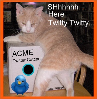 retweetness's profile picture. I am 8 pounds of twitter catching genius. I even amaze myself. Still have all 9 lives though one is doomed to Hell. (I missed the litterbox ...twice) Krusty Cat