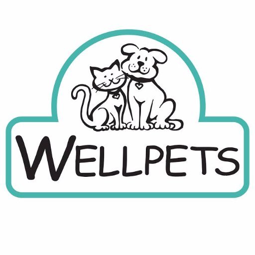 Wellpets Weston-super-Mare provides the highest quality of care and service to both animal and owners.