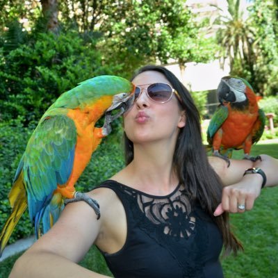 KiltedHilt's profile picture. 