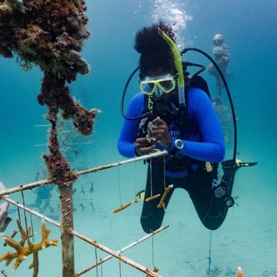 Spelman Alumna, educator, scuba diving instructor who loves to ski, ballroom dance & hang out with family & friends.