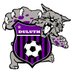 Duluth Soccer Nation (@dsn_wildcats) Twitter profile photo Duluth Soccer Nation (@dsn_wildcats) Twitter profile photo