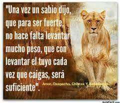 CesarLo2939's profile picture. 