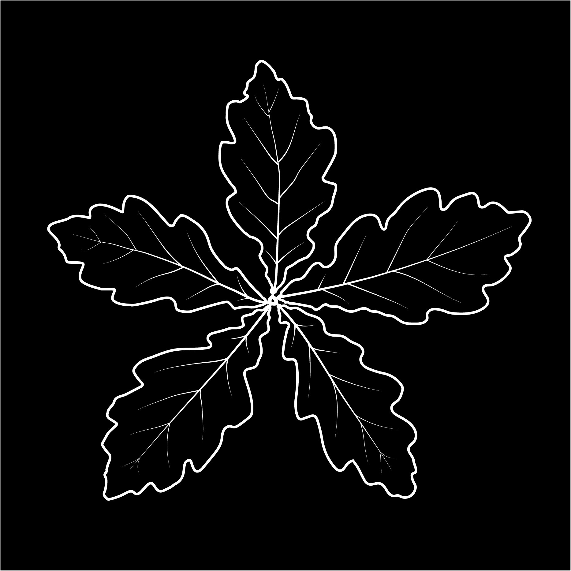 XeoAlei's profile picture. Grao Xeografía e Ordenación do territorio USC. Grao en Publicidade e RRPP UVigo. Allariz como modelo de organización municipal