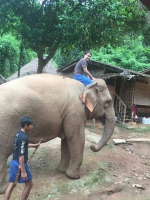 AonieBkk75's profile picture. 