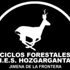 Informando de las actividades que realizamos en Ciclos Forestales de Formación Profesional y FP Básica del I.E.S. Hozgarganta de Jimena de la Frontera (Cádiz)