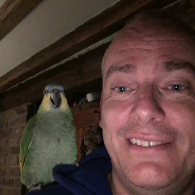 SGrimsdale's profile picture. 