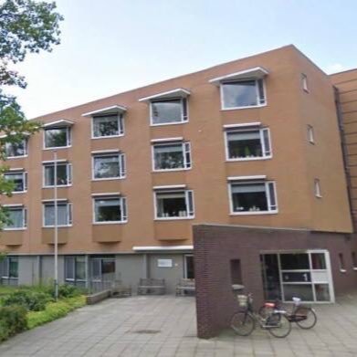 Nieuwe Wierde Profile