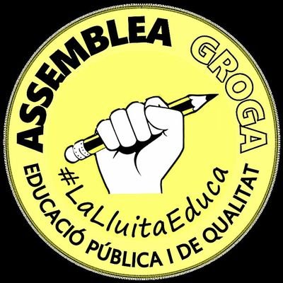 Assemblea Groga