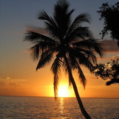 openminded2019's profile picture. 