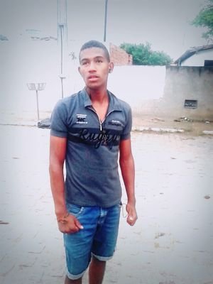 joao8344's profile picture. 