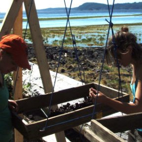 Archaeology happenings at the University of Victoria