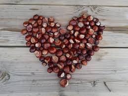 wilmarulez's profile picture. 