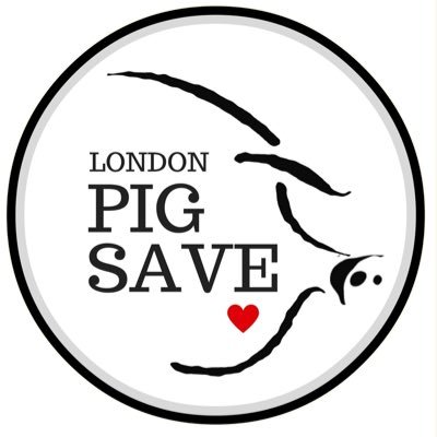London Pig Save inspires change through positive action by bearing witness & promoting awareness about animal slaughter in & around #LdnOnt. 🇨🇦🐷