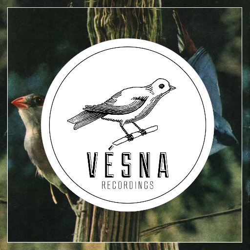 Visit Vesna Recordings Profile