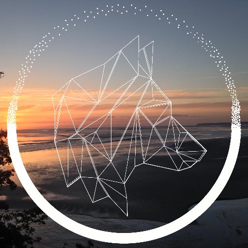 WylderCoffeeCo's profile picture. 