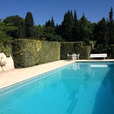 vabron3's profile picture. Agrégé de l'Université... Animal lover/Pro⚖️ Reprise de Tweeter en Mars 18 (après 1 an d’absence)