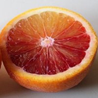 Sicilian Food (@sicilian_food) 's Twitter Profile Photo Sicilian Food (@sicilian_food) 's Twitter Profile Photo